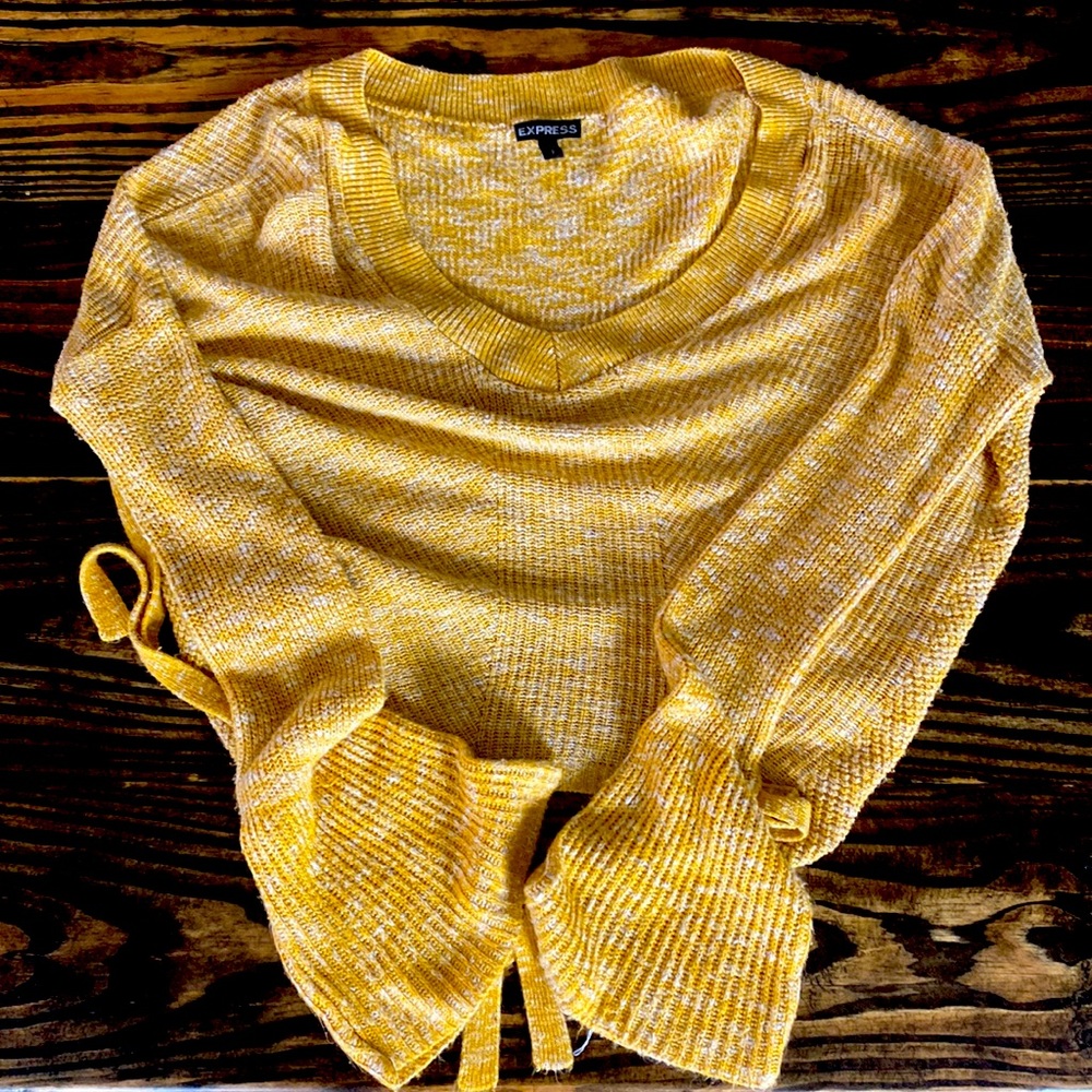 Express Long Sleeve Top